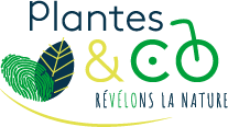 Plantes & co